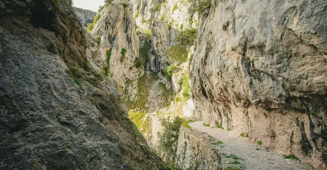 Ekstremalne trasy rowerowe z filmów akcji - sprawdź je!