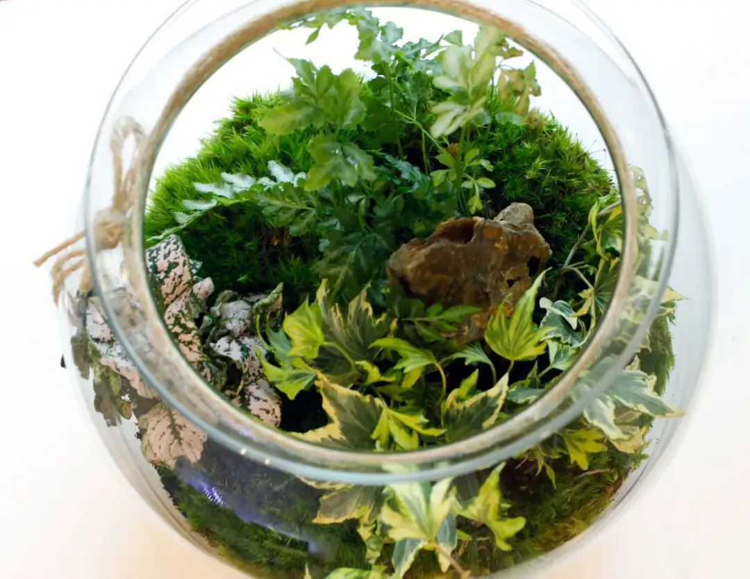 Ile kosztuje wystrój kościoła na ślub? Ceny, które zaskoczą!