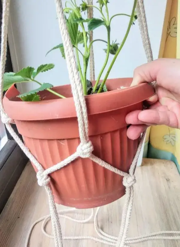 Jak zrobić kwietnik ze sznurka – prosty sposób na piękny domowy ogród