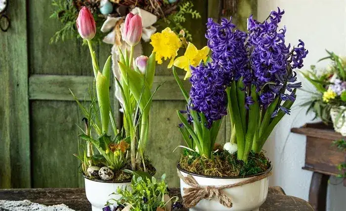 Jakie kwiaty do kościoła na Wielkanoc - piękne symbole nowego początku