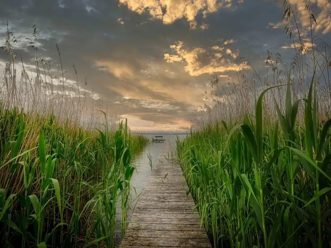 Jezioro Wytyckie: najpopularniejsze miejsce wypoczynku na Lubelszczyźnie