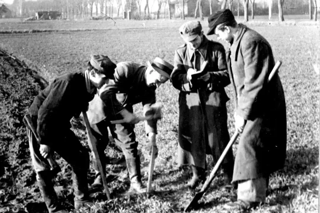 Dawna opłata od ziemi: poznaj historię podatków gruntowych w Polsce