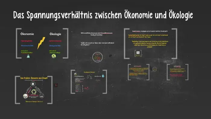 Ökonomie und Ökologie im Unterricht: Spannungen verstehen und lösen
