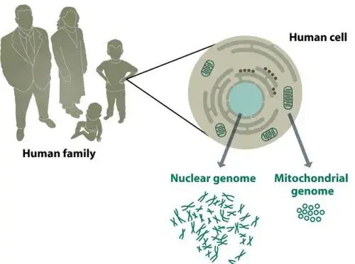Od kiedy badania DNA w kryminalistyce zmieniły oblicze śledztw?