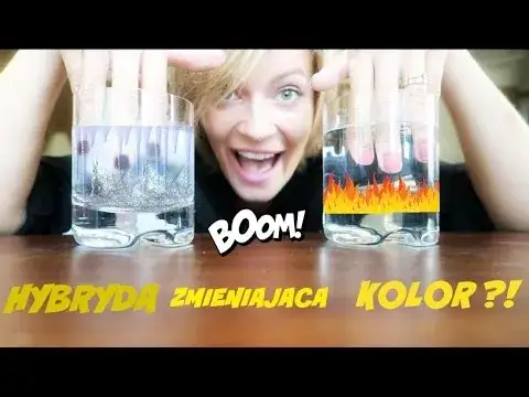 Dlaczego hybryda zmienia kolor? 5 zaskakujących przyczyn