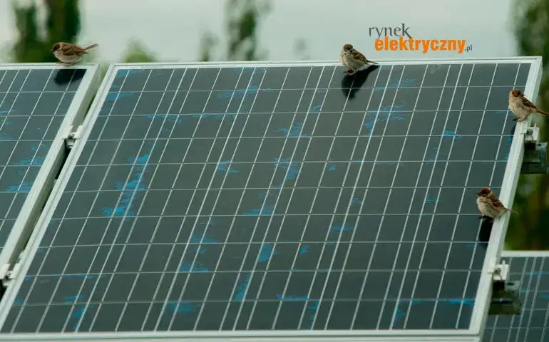 Fotowoltaika na pustyni Atacama: jak Chile wykorzystuje rekordowe nasłonecznienie