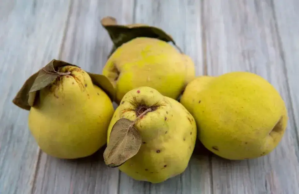 Jak zrobić pigwę do herbaty: 5 prostych kroków dla idealnego smaku