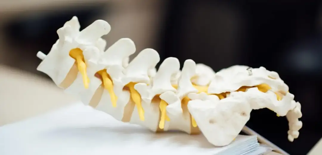 Jak wygląda rehabilitacja kręgosłupa i co musisz o niej wiedzieć