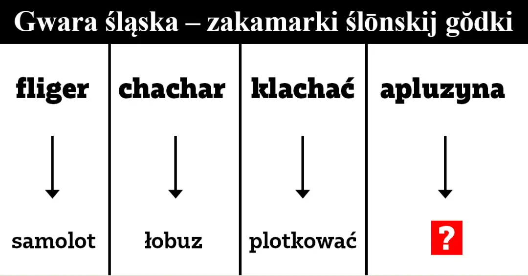 Gwara na Dolnym Śląsku - fascynująca historia języka regionalnego
