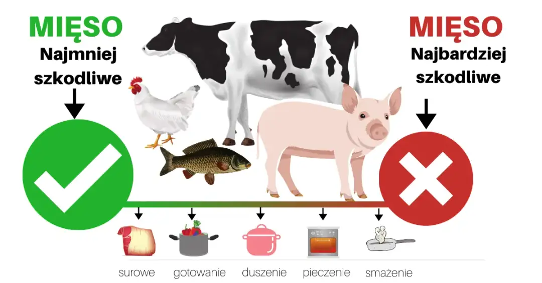 Czy mięso jest zdrowe? Poznaj korzyści i zagrożenia spożycia mięsa