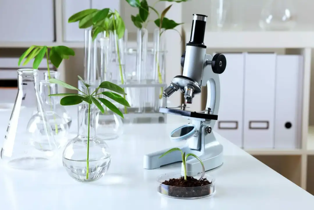 Biologia sądowa czy warto? Odkryj korzyści i możliwości kariery