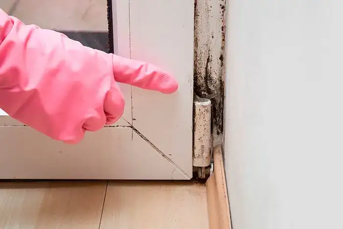 Jak pozbyć się grzyba z okna skutecznymi metodami i zapobiegać pleśni