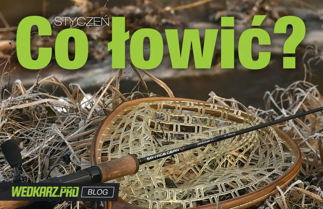 Czy można łowić na spinning w styczniu? Sprawdź, jakie ryby możesz złowić