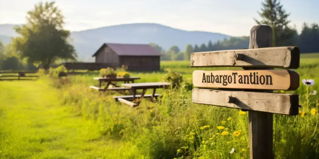 Jak prowadzić agroturystykę: kluczowe kroki i najczęstsze błędy