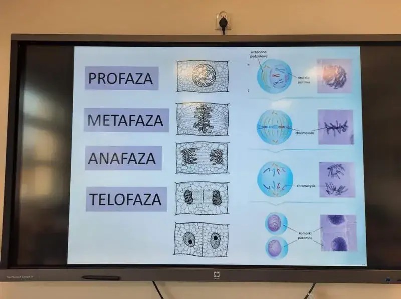 Zajęcia dodatkowe z biologii: jak rozwijać pasję i umiejętności uczniów