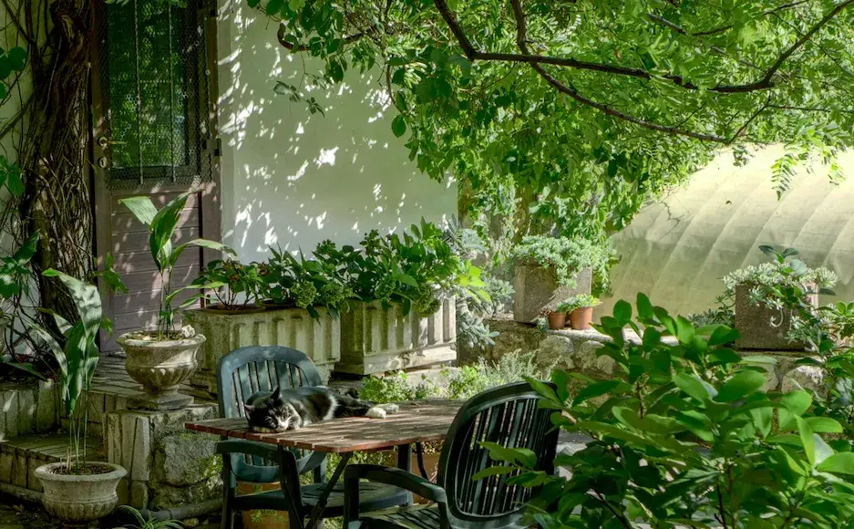 Jak stworzyć ogród pełen relaksu: Najlepsze sposoby na spędzanie wolnego czasu na świeżym powietrzu