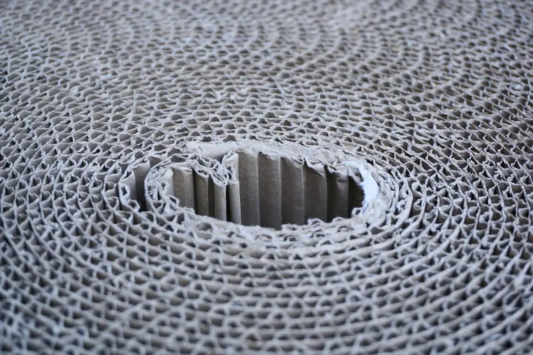 Nowoczesne opakowania termoformowane – precyzja i funkcjonalność w każdym detalu