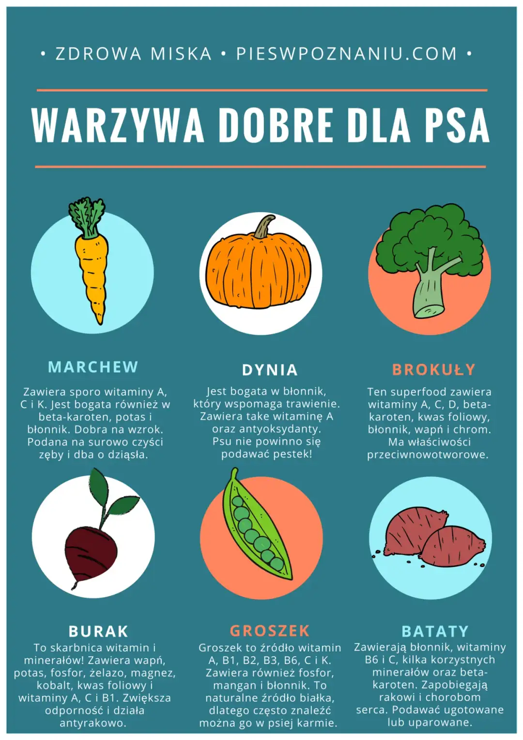 Jakie warzywa dla psa są zdrowe i bezpieczne? Unikaj tych!