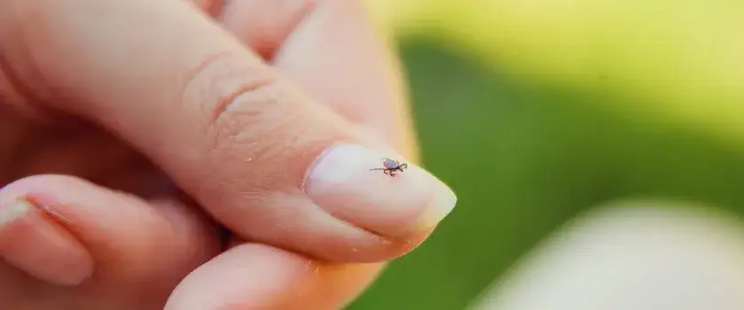 Neuroborelioza objawy: Jak rozpoznać poważne symptomy choroby?