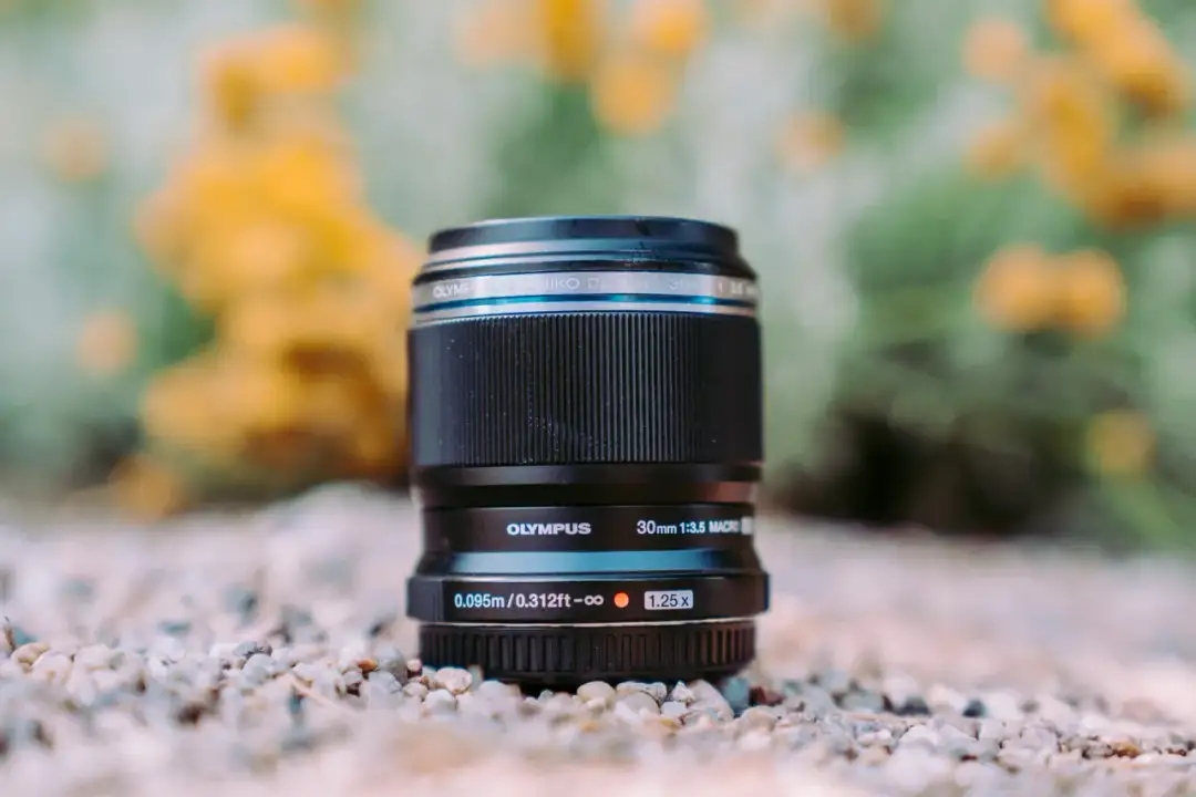 Jaki obiektyw do makro? Odkryj najlepsze opcje dla pasjonatów fotografii