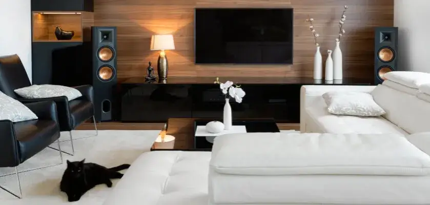 Jakie głośniki do salonu wybierzesz? 5 parametrów na idealny dźwięk