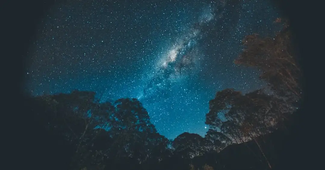 Dlaczego ogród świateł w Poznaniu oczaruje Twoją rodzinę? Magia!