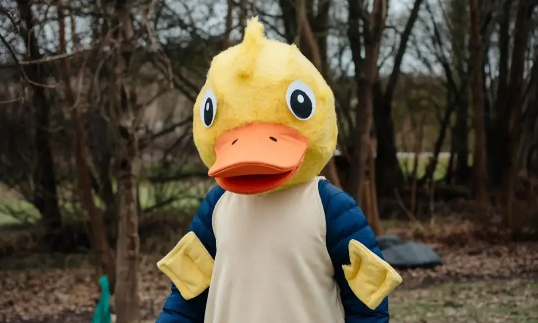 Jak zrobić strój kaczki - łatwe kroki do stworzenia idealnego kostiumu