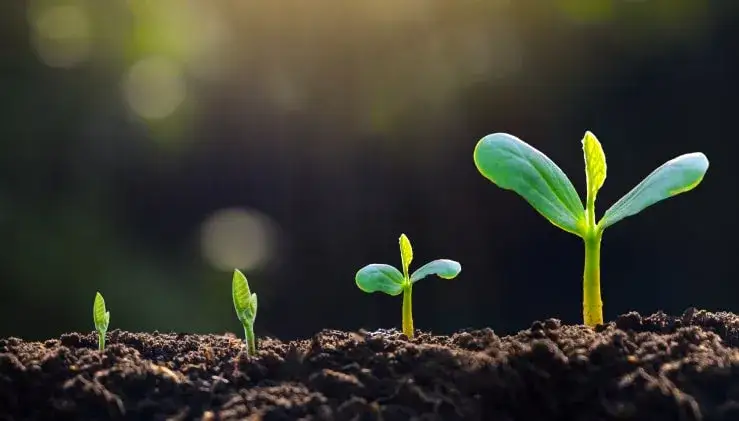 Czy warto inwestować? Odkryj korzyści i zacznij zyskiwać dziś