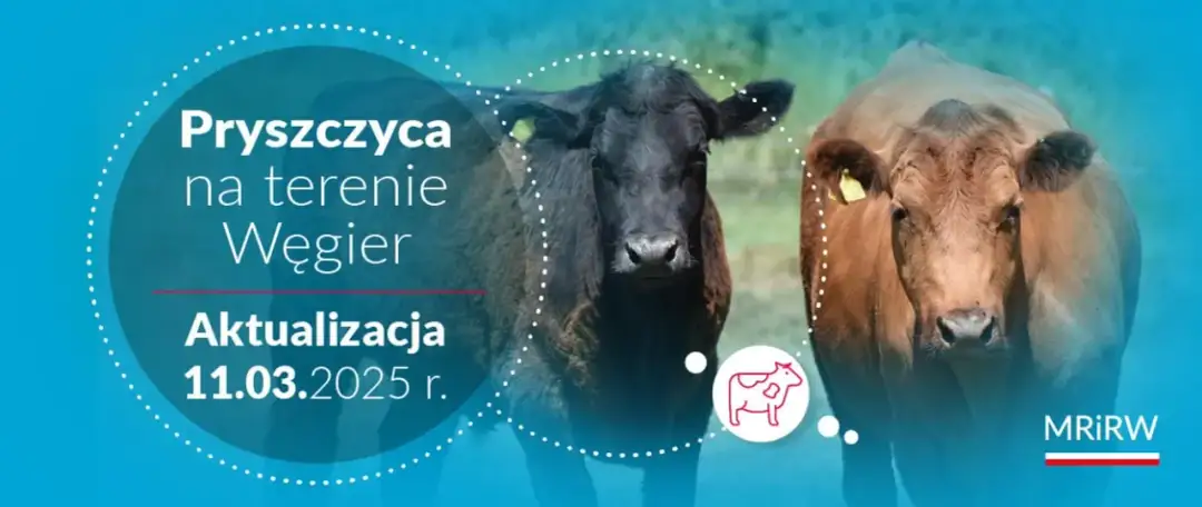 Pielęgnacja zwierząt na Węgrzech: porady dla właścicieli