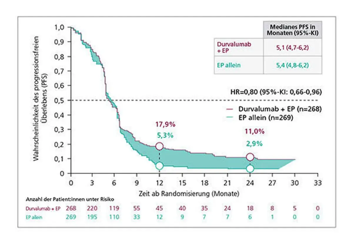 Kaplan-Meier-Kurven zeigen Überlebensraten bei Lungenkrebs. Die Daten deuten auf eine verbesserte Lebenserwartung bei Rezidiv mit Durvalumab + EP hin.