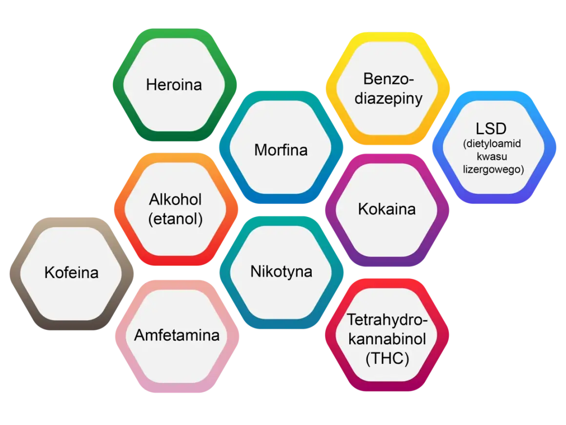Wykres przedstawia najbardziej uzależniające substancje: heroinę, alkohol, nikotynę, amfetaminę, kofeinę, morfinę, benzodiazepiny, kokainę, LSD i THC.