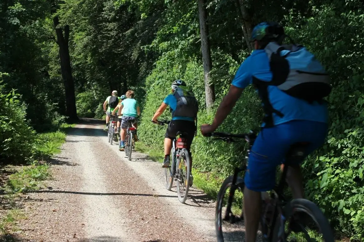 Grupa rowerzystów przemierza leśną ścieżkę, odkrywając najpiękniejsze trasy rowerowe lubuskie.