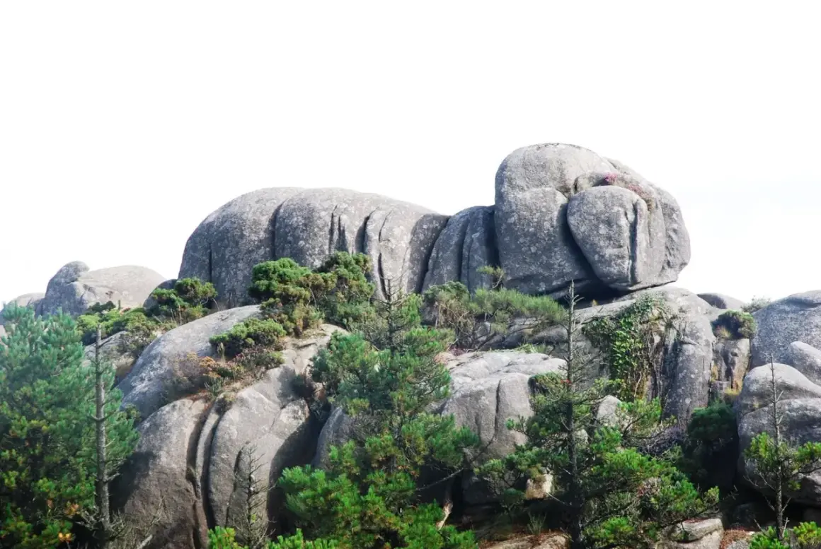 Enormes rocas de granito, los penedos de pasarela e traba, se alzan entre pinos y vegetación, con un cielo blanco de fondo.