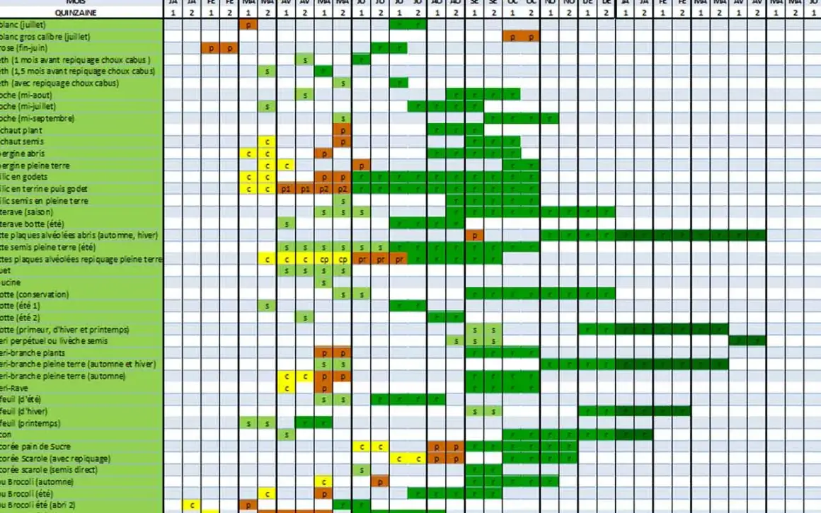 Calendrier d'association et de semis pour un potager, indiquant les périodes de plantation et de récolte pour divers légumes.