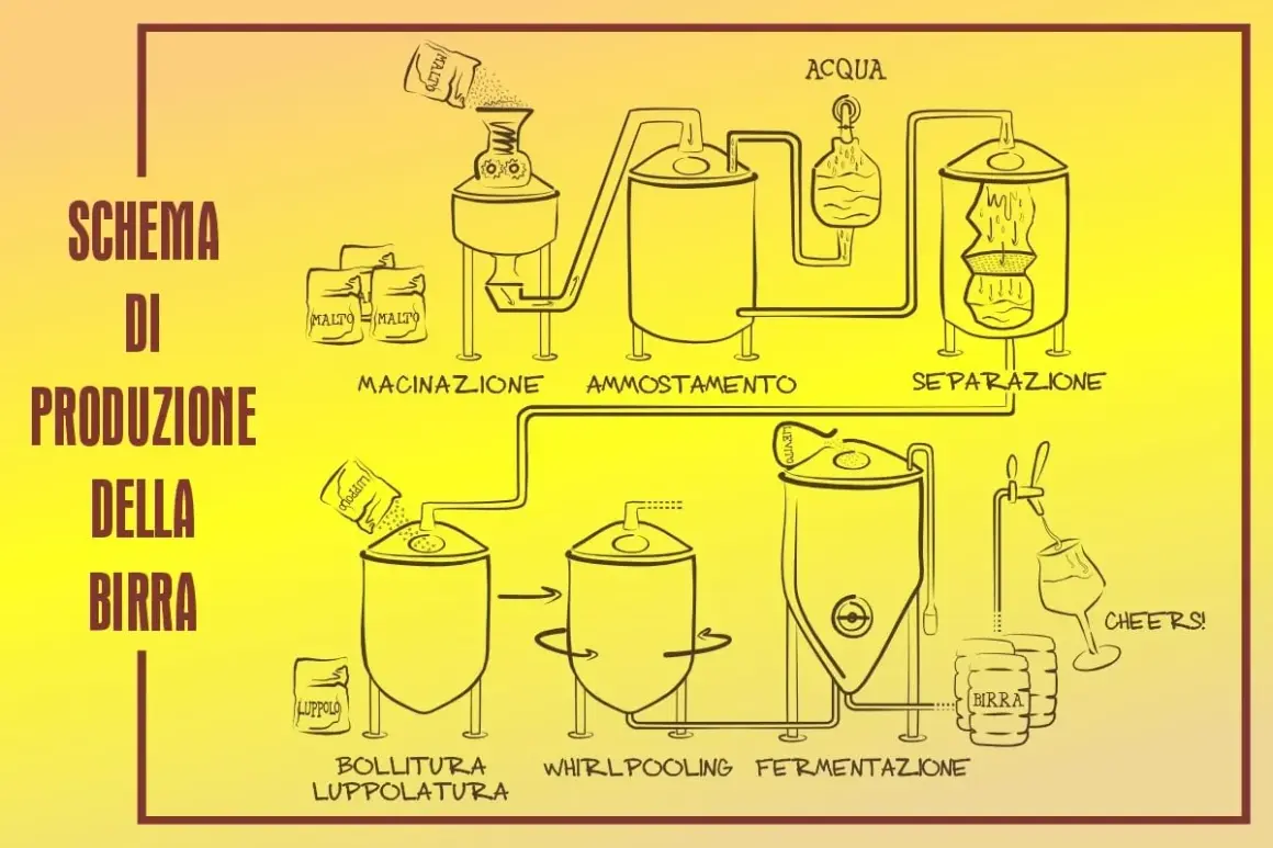 Schema di produzione della birra: macinazione malto, ammostamento, separazione, bollitura, luppolatura, whirlpooling, fermentazione. Nasce una birra ad alta fermentazione!