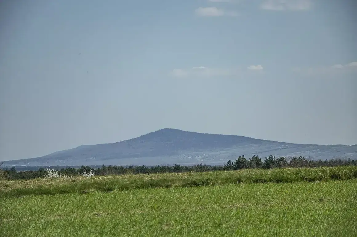 Łagodne, zalesione góry świętokrzyskie szczyty na horyzoncie, z zielonym polem na pierwszym planie.