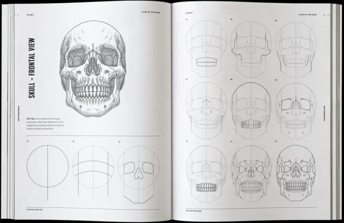 Detailed skull design illustration showing a step-by-step guide to drawing a human skull from various angles.