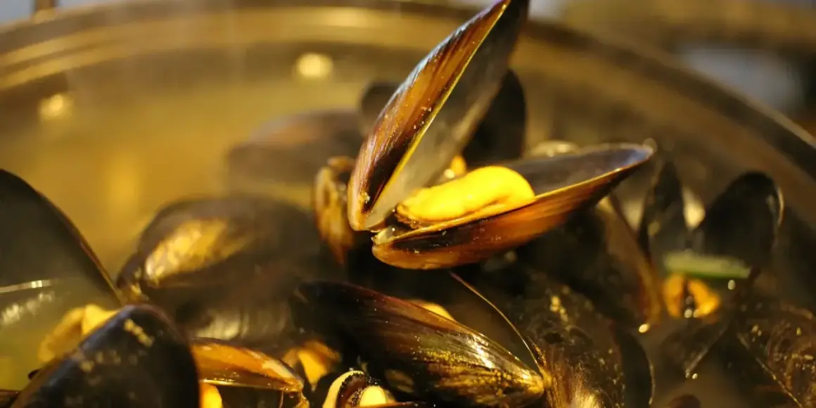 Moule normande c'est quoi ? Des moules cuites à la vapeur, ouvertes sur un jus doré. Un délice !