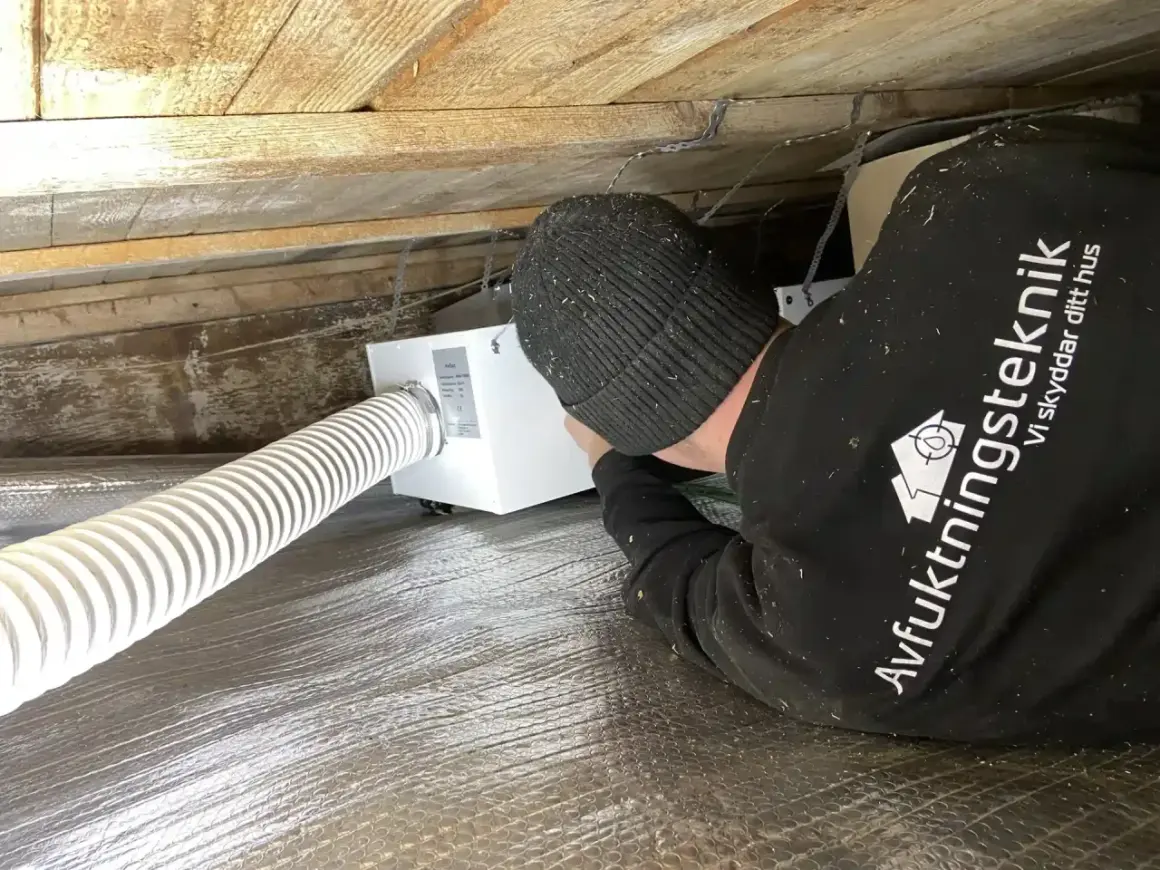 Installering av ventilation i friggebod. En tekniker arbetar med en vit ventilationsenhet under träbjälkar.