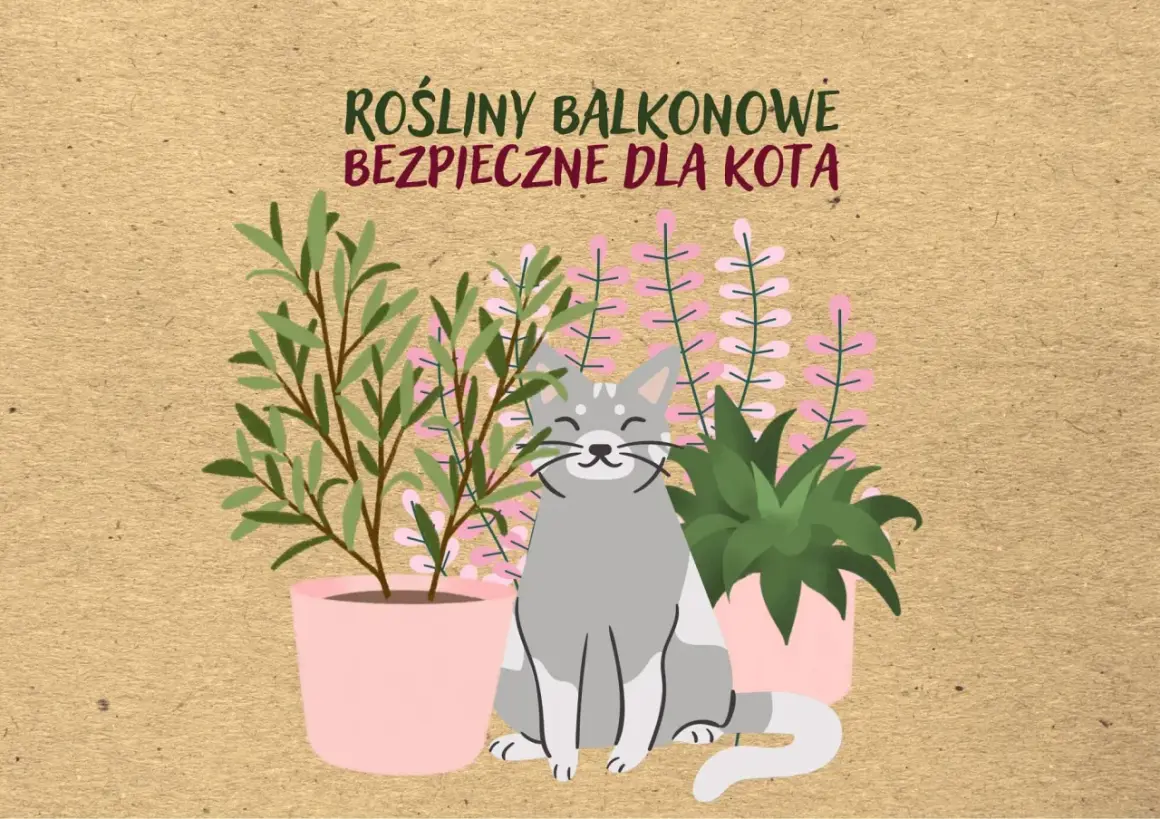 Uśmiechnięty kot siedzi wśród roślin balkonowych bezpiecznych dla kota.