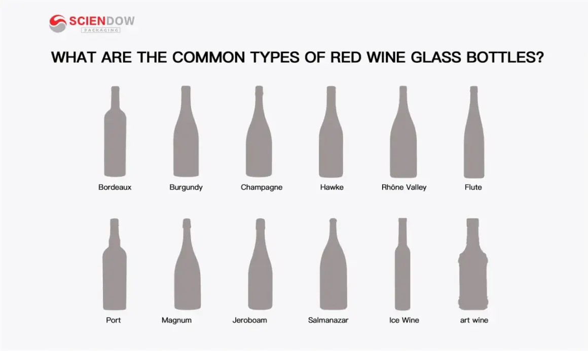 Illustrazione dei diversi nomi bottiglie vino: Bordeaux, Burgundy, Champagne, Hawke, Rhône Valley, Flute, Port, Magnum, Jeroboam, Salmanazar, Ice Wine, art wine.