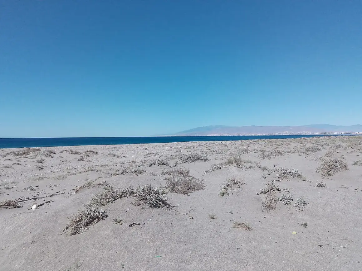 Arena y vegetación escasa en la playa de las amoladeras, con el mar azul y montañas al fondo bajo un cielo despejado.