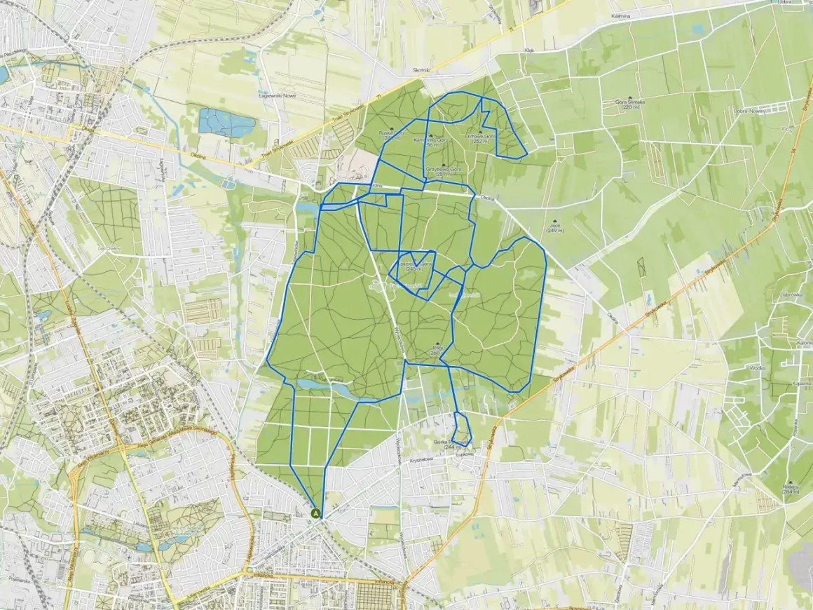 Mapa z zaznaczonymi trasami rowerowymi w Łódzkiem, prowadzącymi przez tereny zielone i lasy.