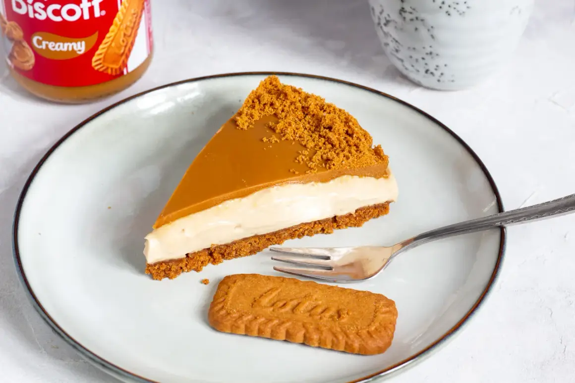 Ein Stück cremiger Biscoff Cheesecake mit Karamell und Keksbröseln. Perfekt für Ihr nächstes Biscoff Cheesecake Rezept!