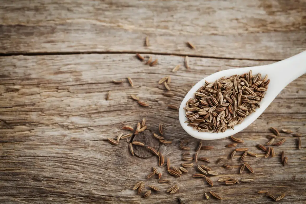 Ein Löffel voller Kreuzkümmelsamen, die für ihre verdauungsfördernde cumin wirkung bekannt sind, liegen auf rustikalem Holz.