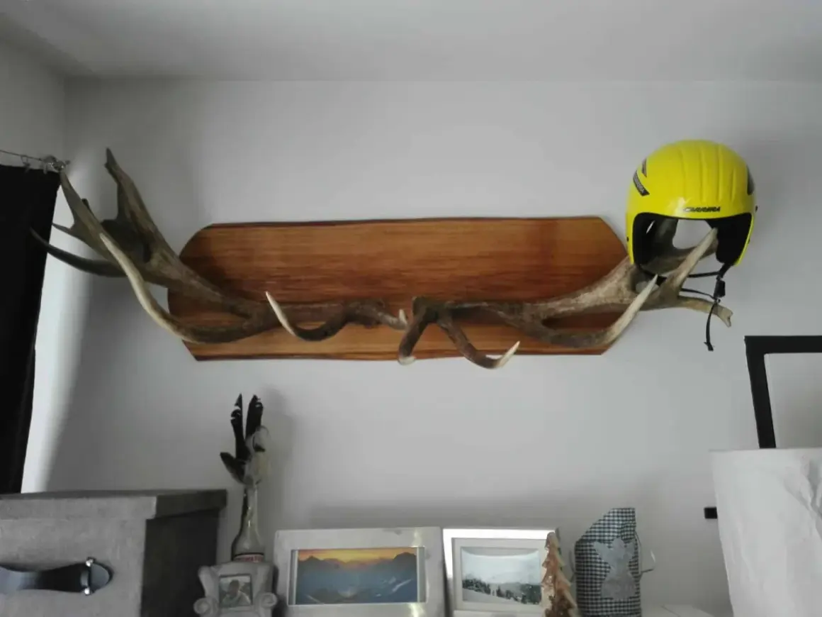 Une idée déco avec bois de cerf : des bois imposants fixés sur une planche de bois, supportant un casque de ski jaune vif.