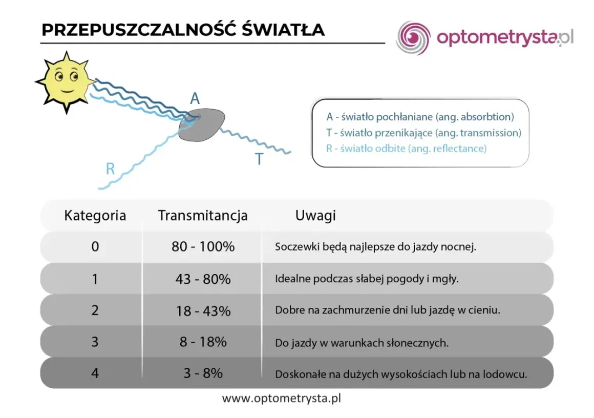 Jak daleko widzi gołąb? 340° wzroku i UV poznaj prawdę
