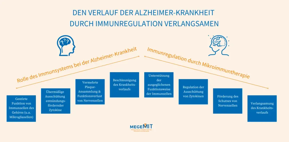 Grafik zeigt, wie Immunregulation den Verlauf von Alzheimer verlangsamen kann, von gestörten Immunzellen zu Schutz von Nervenzellen.