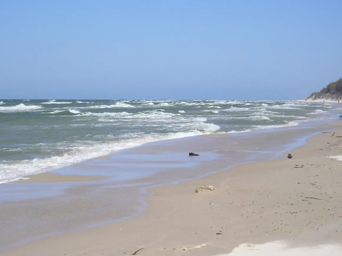 Plaża z falami i wydmami. Warto zobaczyć to miejsce, idealne na spacer i podziwianie natury.