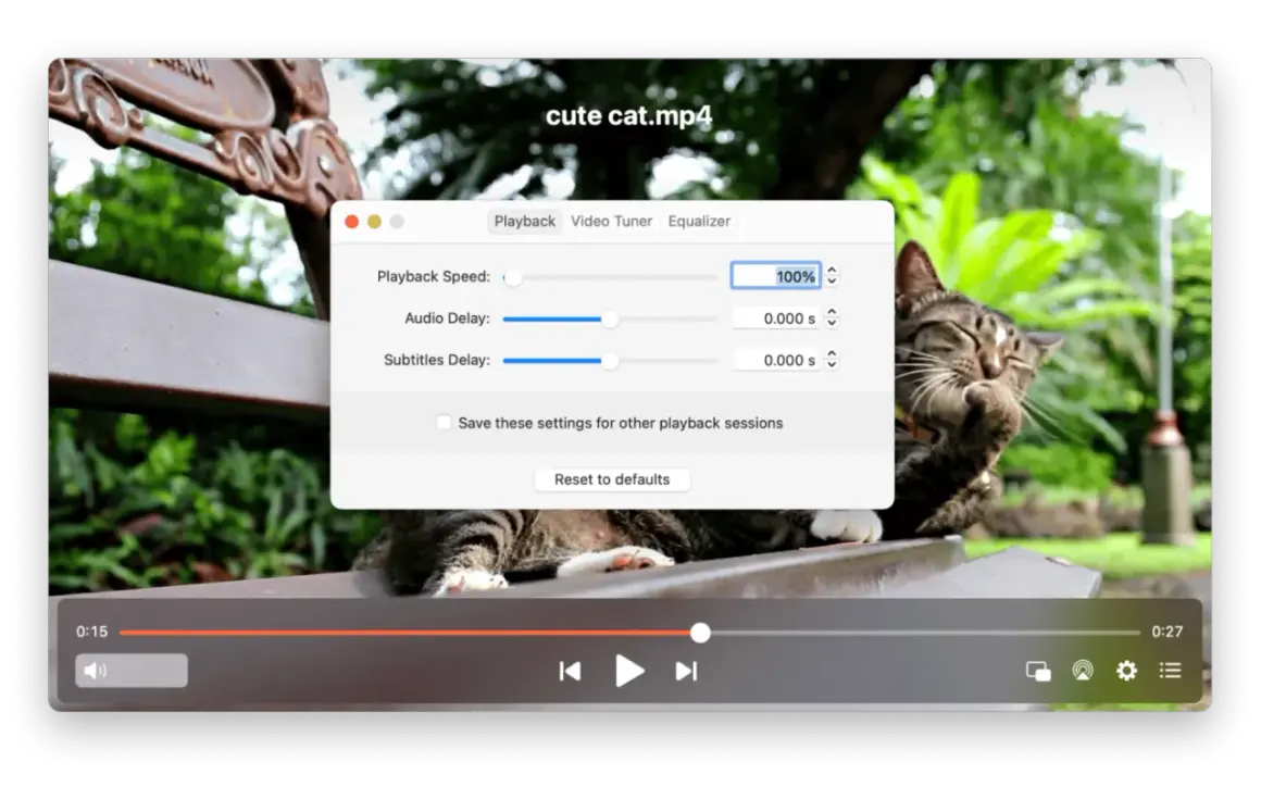 A cute cat video on a Mac is not playing. The playback speed is set to 100%, with no audio or subtitle delay.